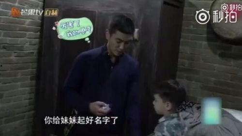 科普爆料小郎君视频,带你走进科学世界的奇妙之旅  第2张